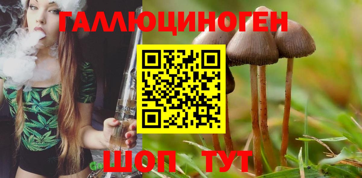 Псилоцибиновые грибы прущие грибы  Вход с VPN  Брянск 